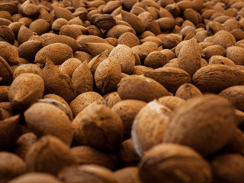 FEAST - Almond, Sicily, Noto