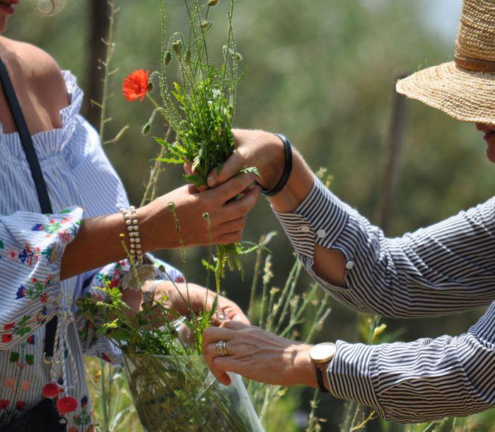 Gastronomic Trekking