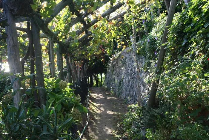 Amalfi Sentiero dei limoni