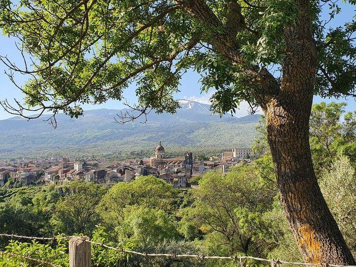 SAPIO Etna hiking Randazzo