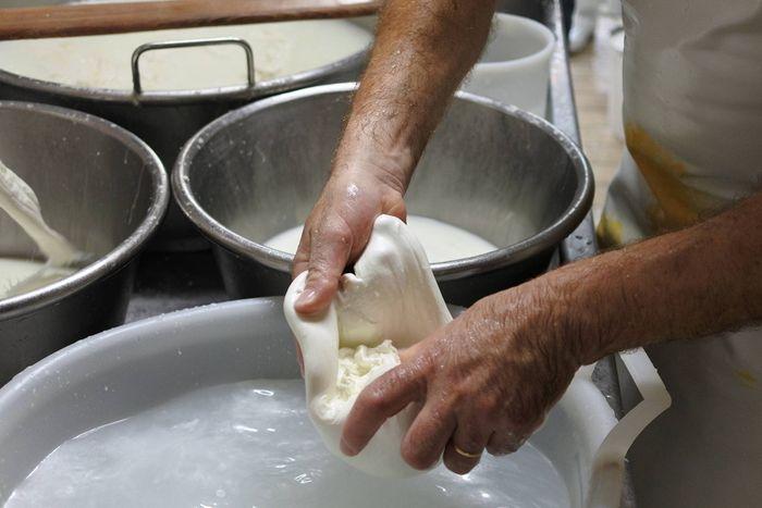 FEAST - Apulia mozzarella